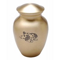 Bronze Finish Brass Pet Urn!